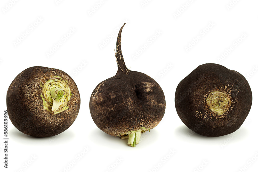 Wall mural black radish vegetable root