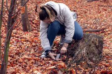 A teenage girl in a gray autumn jacket takes pictures on the phone of mushrooms on a stump in an autumn park. Warm autumn day, walk in the fresh air. A teenager takes pictures of foliage on the phone.