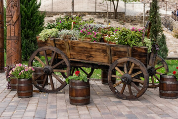 Lush floral arrangement of plants blooming with different colors and green leaves in a brown wooden cart with wheels. Mobile decorative table in natural rustic style
