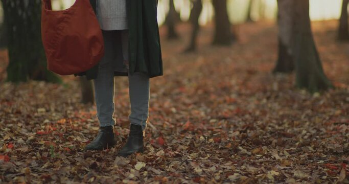 Beautiful woman picking her bag up and having fun in the middle of a park in an autumn sunset journey. slow motion detail of legs