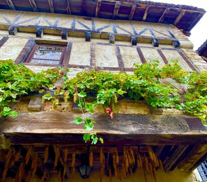 old house in the garden in Perouges