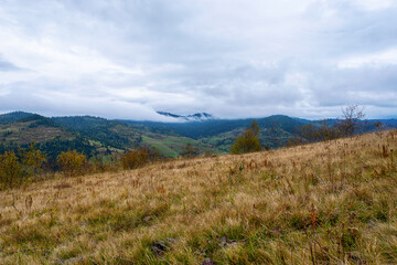Mountain glade among the mountains in the fog.