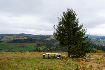 Table for rest and a fir tree in a meadow among beautiful mountains.