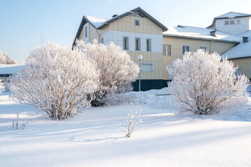 Winter landscape of frosty trees, white snow in city park. Trees in hoarfrost. Seasons, climate change, ecology, environment. Extremely cold winter