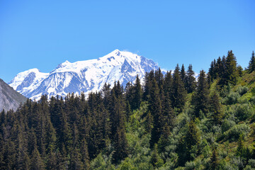 Plateau de Beauregard, savoie, France