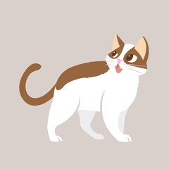 cute cat vector illustration isolated on background