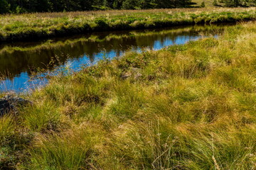 Crni Rzav river on Zlatibor mountain in Serbia