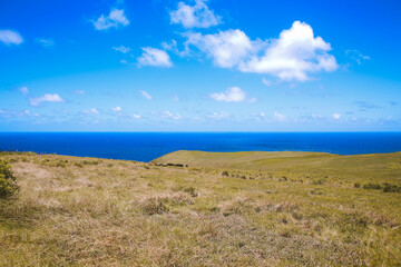 Fototapeta na wymiar Beautiful country seaside road, West Maui coastline, Hawaii