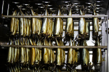 Industrial smoking of fish. Mackerel in a smoking oven.