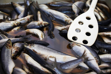 Industrial salting of herring. The herring is cooked in a saline solution.