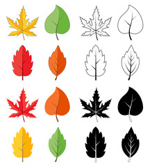 Obraz premium Leaves silhouette, outline and color icon set isolated on white. Variety of autumn falling, leaf shape. Collection of vector foliage illustration. Seasonal simple cartoon clip art. Eps 10 design.