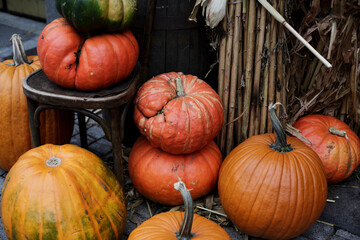 Rustic autumn still life with pumpkins. Large orange pumpkins lie on an old wooden chair. The Halloween day. Stack of orange pumpkins in daylight