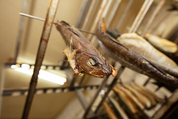 The smoked fish hangs with its head on an iron rasp.