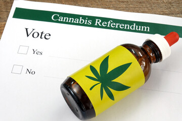 Close up cannabis oil extract in a bottle on referendum ballot