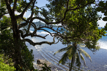 tropical beach view