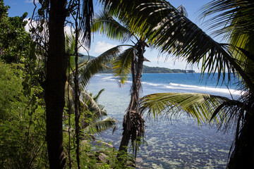 tropical beach view