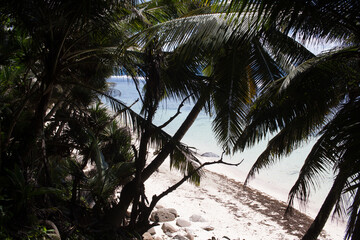 tropical beach view