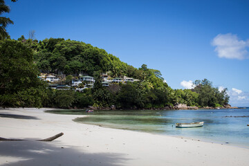 beach with trees