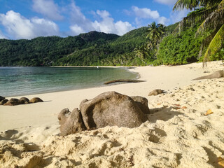 beach in the island