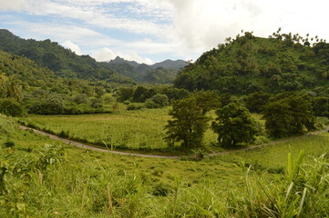 The lush rainforest and jungle landscapes of St Vincent And the Grenadines islands, Caribbean Ocean