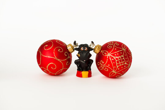 The bull is the symbol of the New year 2021 on white background. Happy New year. Christmas balls hang on the horns of a black bull