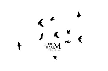 A flock of flying birds. Vector illustration