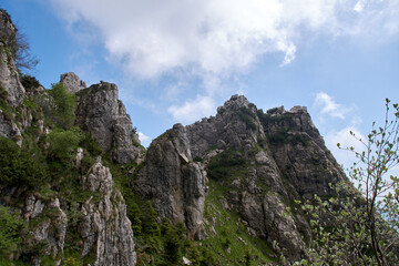 Fototapeta na wymiar panorama in the Pasubio valleys