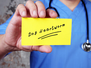 Medical concept about Dog Heartworm  with inscription on the sheet.