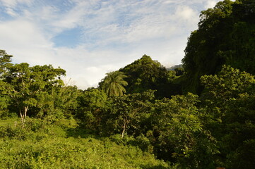 The lush jungle landscapes with waterfalls and black volcanic beaches on the St Vincent and...