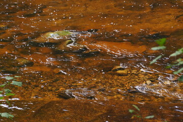 Fragment górskiej rzeki z dnem z pomarańczowego surowca