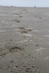 Traces in the sand