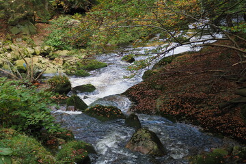 Bystra górska rzeka jesienią © vofchok
