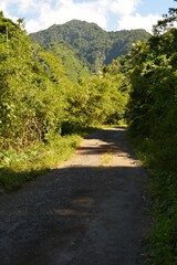 The lush jungle landscapes with waterfalls and black volcanic beaches on the St Vincent and...