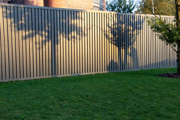 Shadows of trees on the fence of the park at sunset in September and the shadows of two people -...