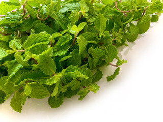 Fresh mint leaves stacked on one side creating a frame on an isolated white background