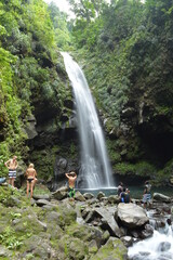 The lush jungle landscapes with waterfalls and black volcanic beaches on the St Vincent and...