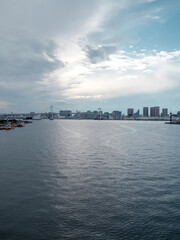 Fototapeta premium 東京 豊洲大橋からの風景