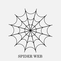 Vector illustration of a spider web