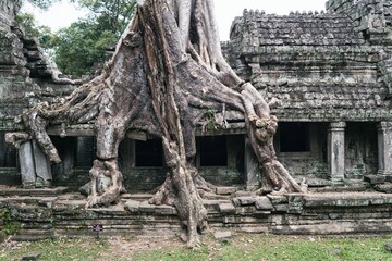 Angkor wat temple complex in Cambodia, Siem Reap Buddhist temple