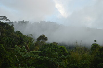 Fototapeta na wymiar The stunning mountain landscape on the lush Trinidad And Tobago islands in the Caribbean Islands