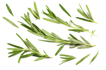 Rosemary closeup isolated on a white background, closeup, top view