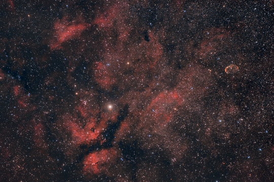 Red Nebulosity arroud Sadr in the Constellation of Cygnus