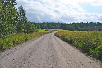 Fototapeta na wymiar Country dirt road on a summer day