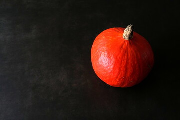 Pumpkin Hokkaido isolated on a dark background with copy space. It is symbol of Halloween, Thanksgiving and autumn or fall. Suitable as background or isolated object for holiday or season.