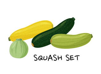 Green and yellow squashes set isolated on white background. Vector realistic collection.