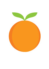 illustration of an orange fruit