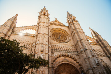 Palme de Mallorca Catedral