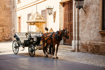 Palma de Mallorca's horse carriages