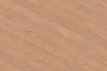 birch wooden background texture structure backdrop