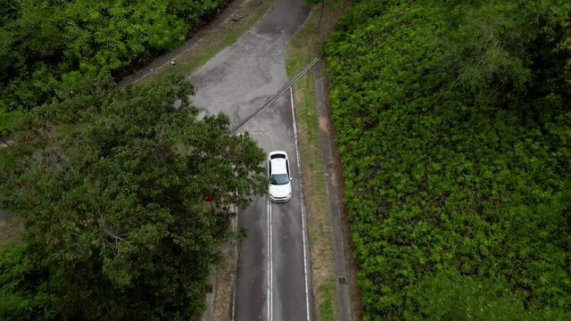 Aerial top down 4k view tracking a sedan car driving on road in forest in the evening. Cinematic drone shot flying over gravel road in pine tree forest